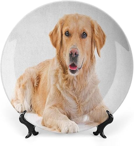 Plato decorativo de 7 pulgadas, plato de vajilla Golden Retriever, diseño de cachorro de pedigrí joven, dulce perro bebé, decoración de pared de