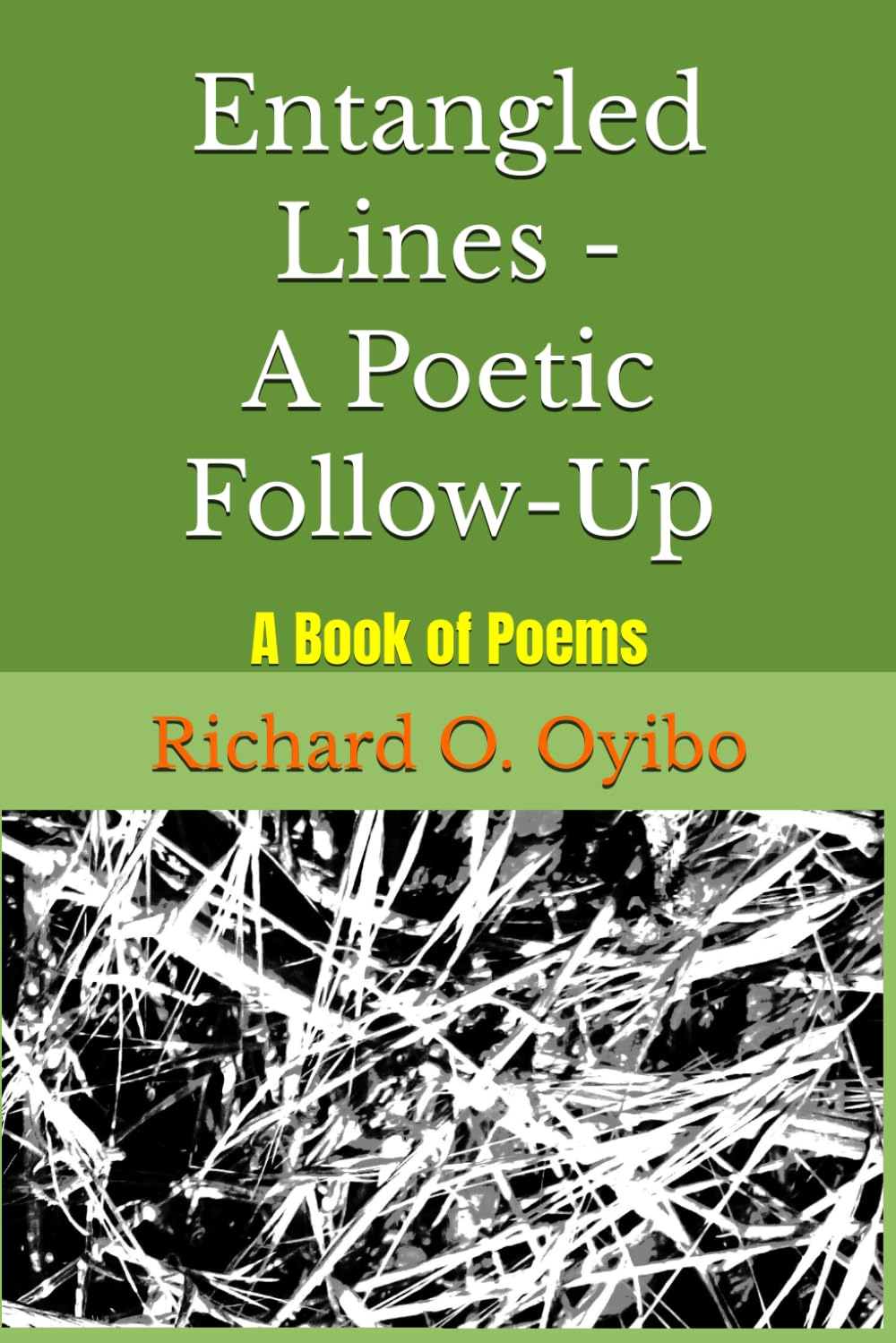 Entangled Lines - A Poetic Follow-Up: A Book of Poems