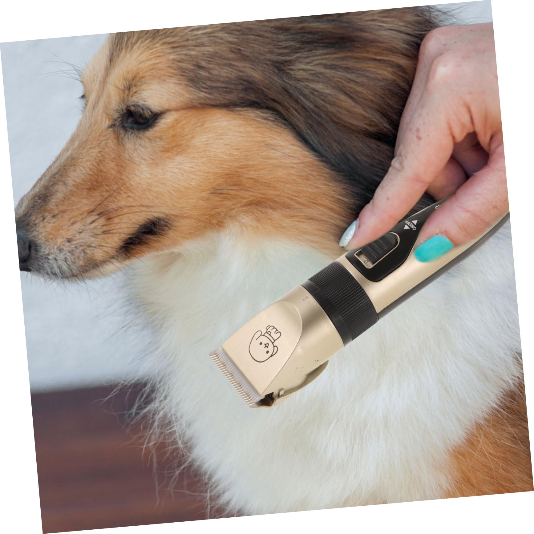 Cortapelos para Perros y Gatos Motor de Precisión 1200mah