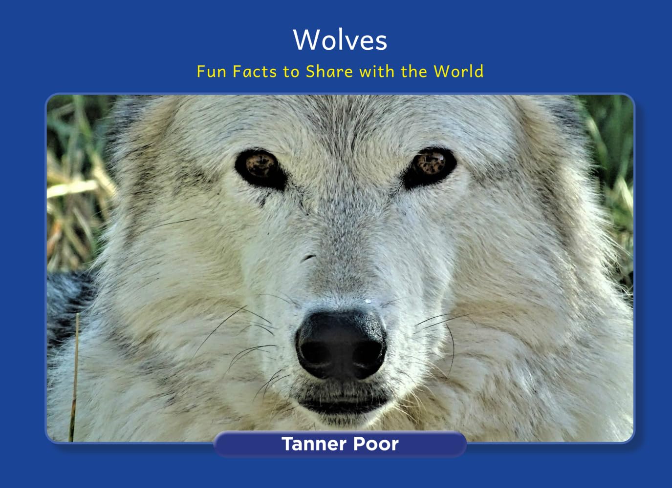 Wolves: Fun Facts to Share with the World