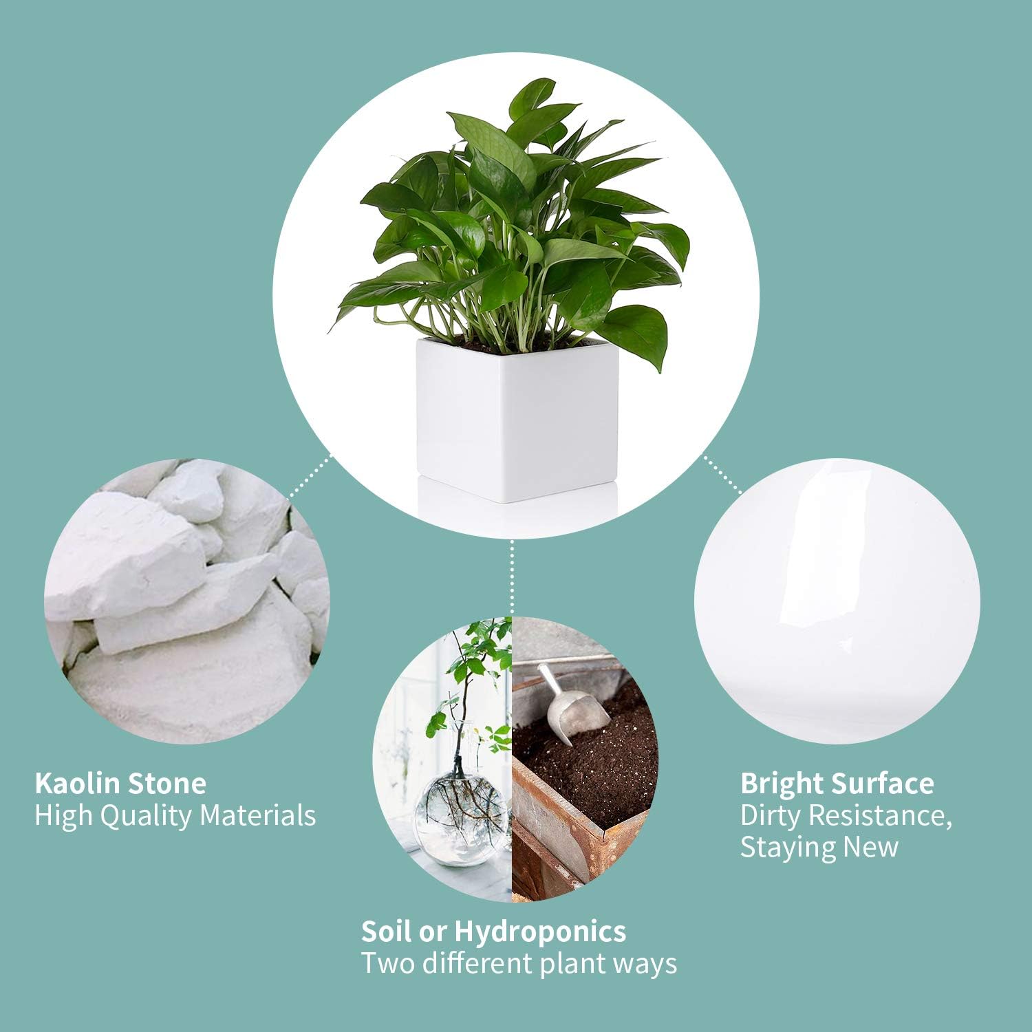 Greenaholics Square White Plant Pot - 5.5 Inch Small Ceramic Flower Planter Indoor Container for Succulents, Cactus and Orchids with No Drainage Hole
