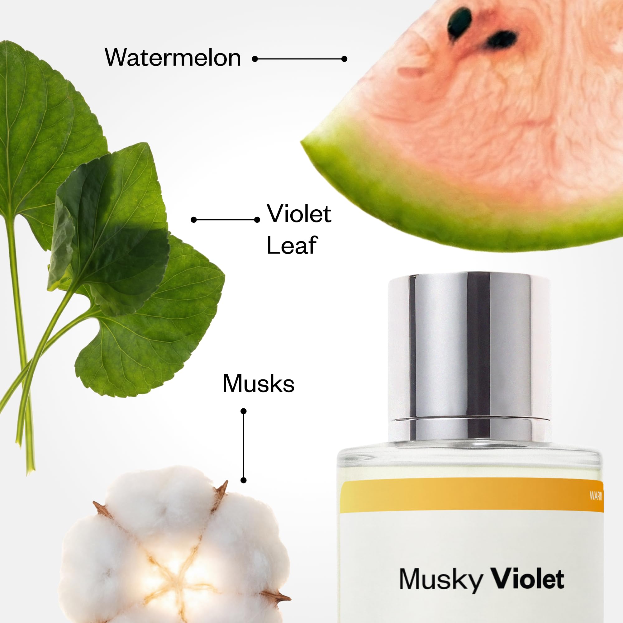 Dossier Musky Violet Eau de Parfum Unisex, Inspired by Mojave Ghost, 50ml