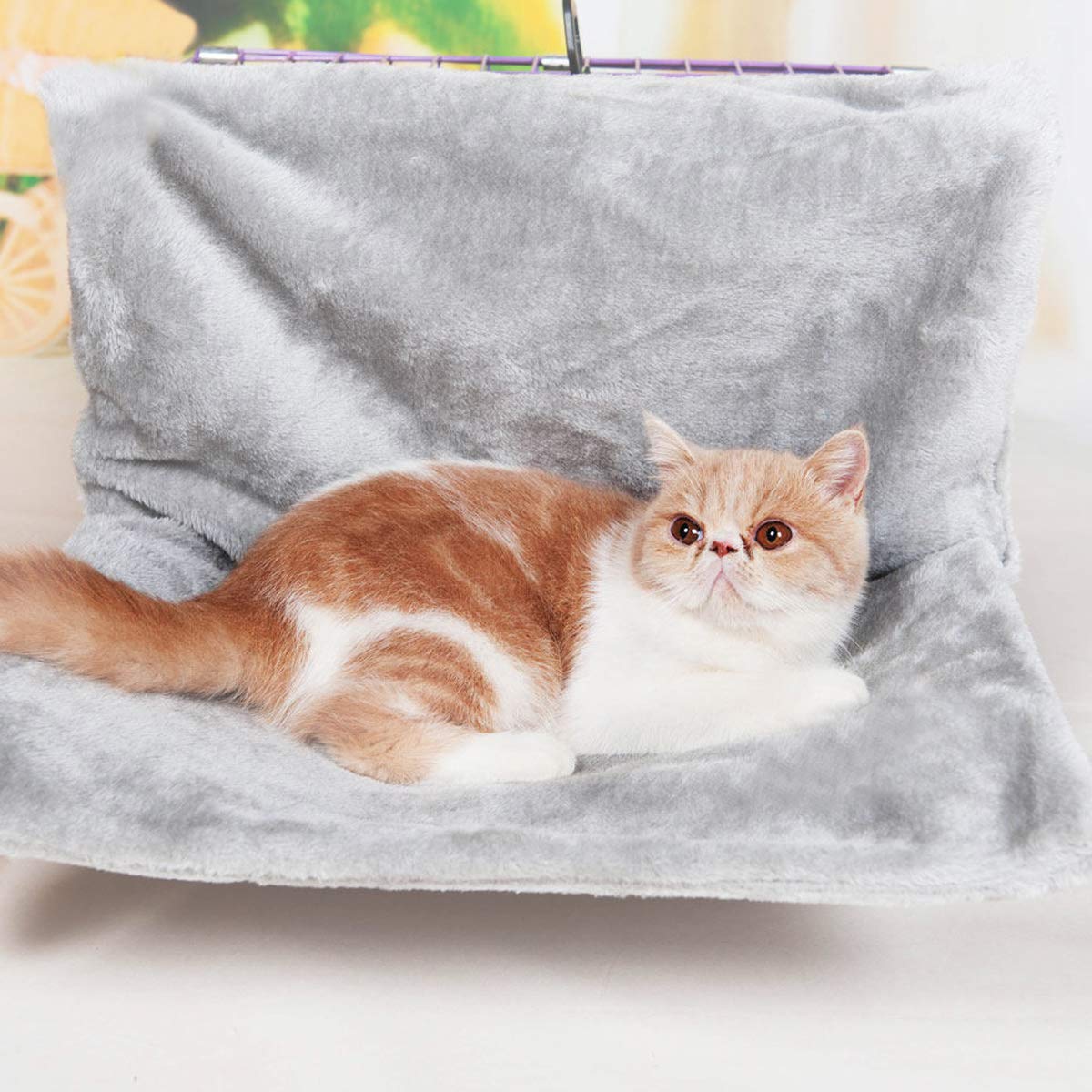 PETCUTE Chat Radiateur Chaud Lit radiateur pour Chat Lit De Radiateur pour Animaux De Compagnie Polaire avec Cadre en Métal Fort Supporte jusqu'à 7.5 kg