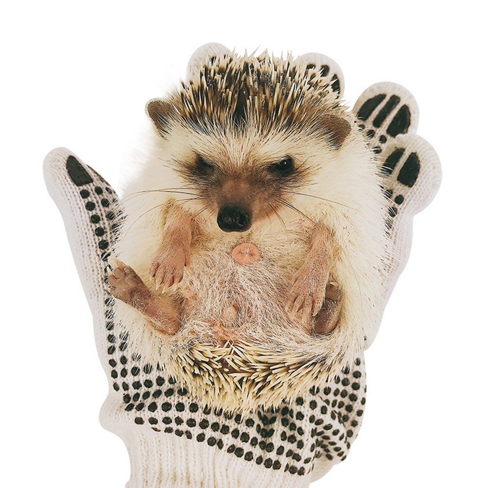 Guanti Protettivi Per Animali POPETPOP - Anti-Graffio E Anti-Morso, Per Cani, Gatti E Uccelli - Foto 13