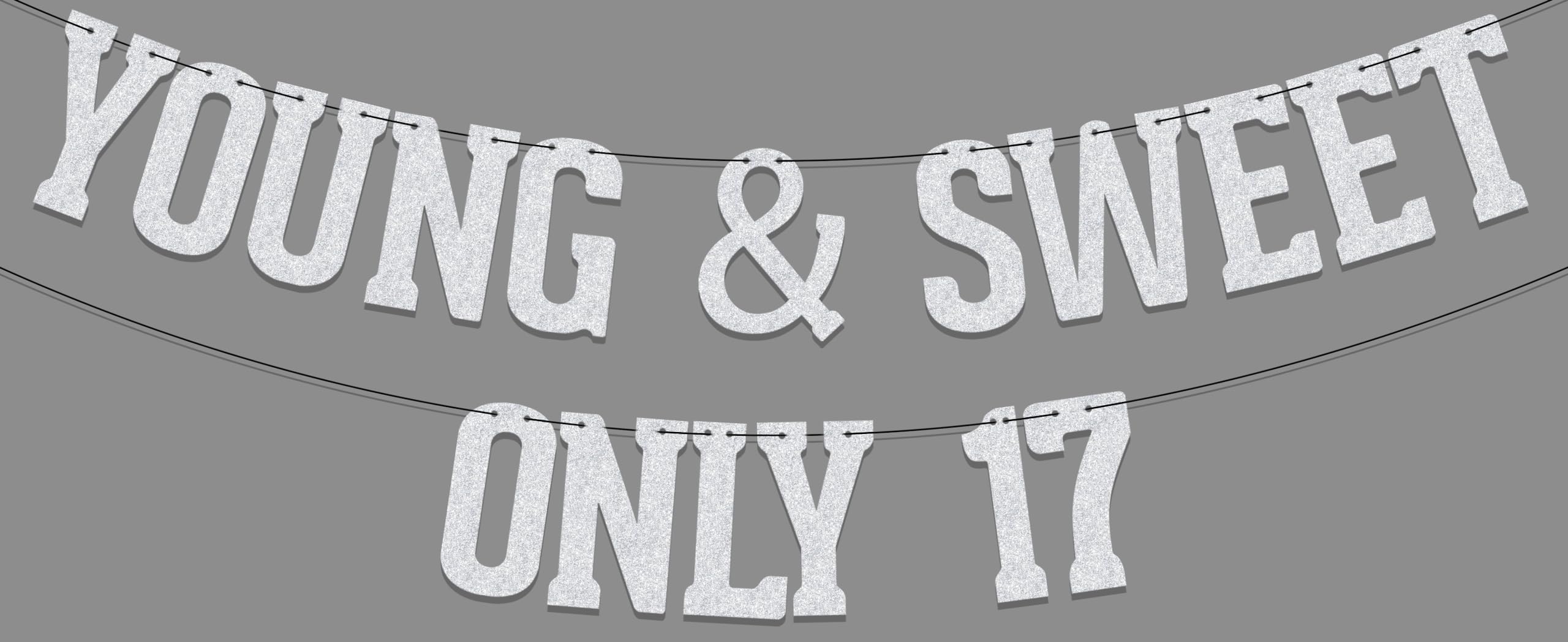 Young & Sweet Only 17 Banner Funny 17th Birthday Decorations Hello 17 Banner Cheer 17 Years Old Party Supplies Silver Glitter
