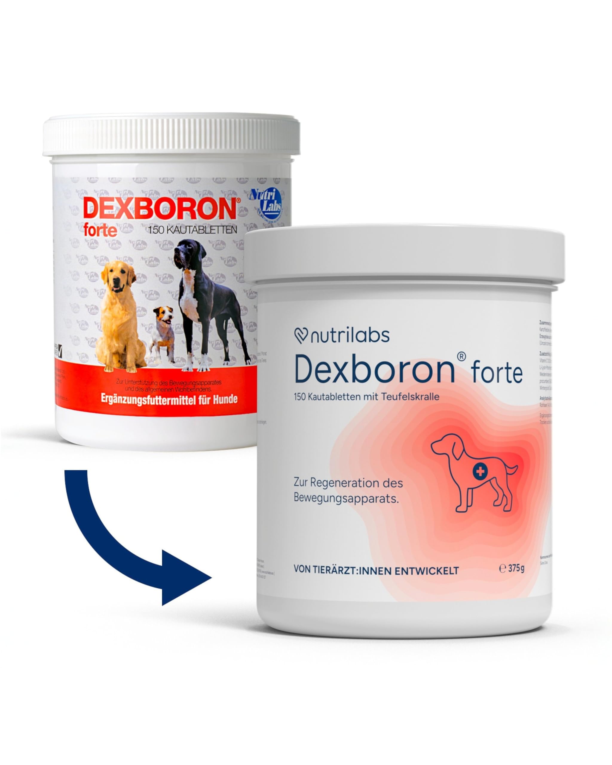 NutriLabs Dexboron forte Hunde Kautabletten 150 STK. - Tabletten mit Teufelskralle - Regenerationsmittel mit Weidenrinde, Weihrauchextrakt u.v.m.