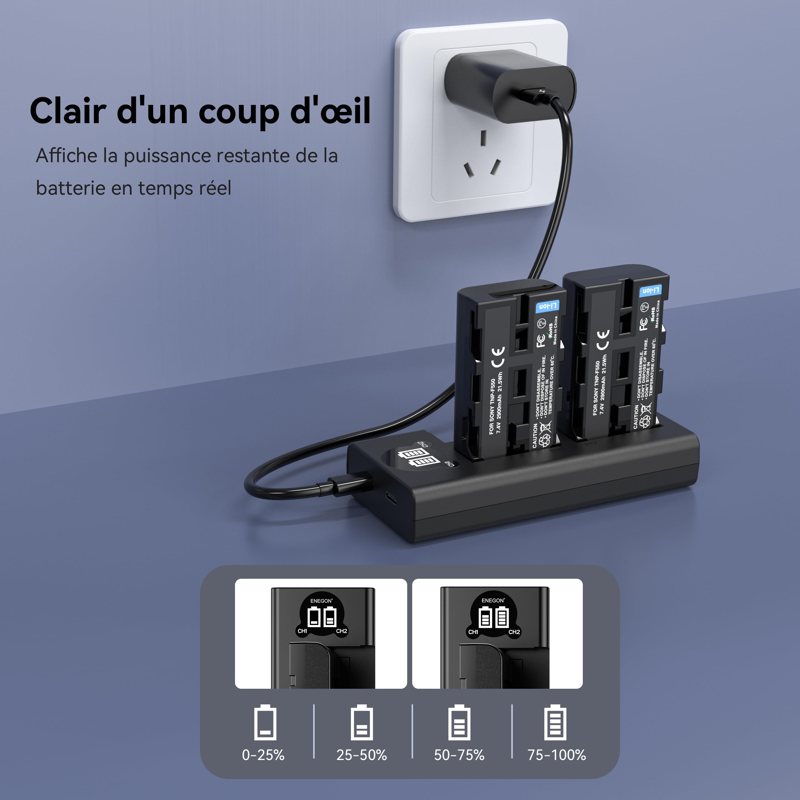 Pack de 2 Batteries de Remplacement NP-F550 de 2900mAh avec Chargeur LCD Double USB-C Appareils pour Sony NP-F970/F960/F770/F750/F570/F550/F530/F330 et CCD-SC55/TR910/TR818