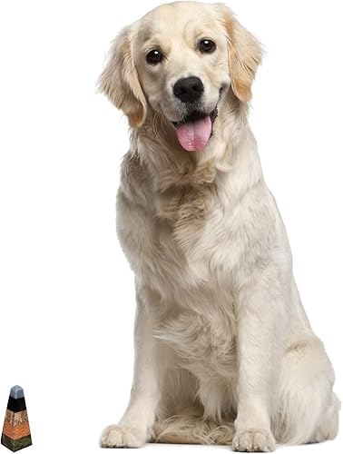 Miniatura 3 de NOVICA Escultura de piedra geométrica multicolor, 4.9" de alto 'Life Force'