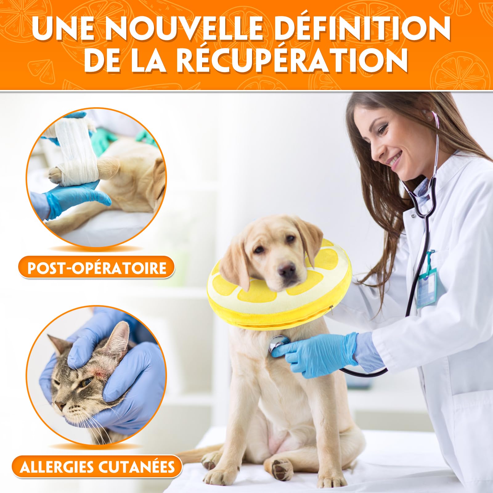 Collerette Chien Gonflable, Collerette pour Chiens et Chats, Collerette Chien Anti Lechage pour La Cicatrisation des Plaies et Empêcher de Mordre ou de Gratter (L)