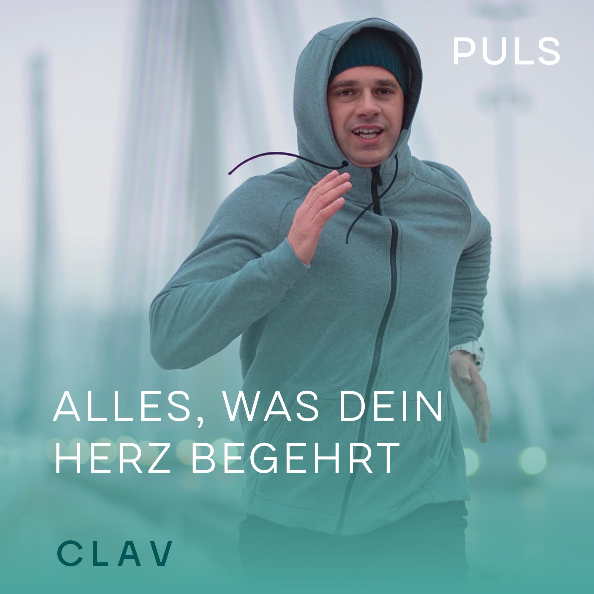 N°14 Puls - OPC Traubenkernextrakt mit 650mg OPC hochdosiert je Tagesdosis, L Arginin, Schwarzer Knoblauch & Kalium für den Blutdruck - 120 Kapseln - Vegan