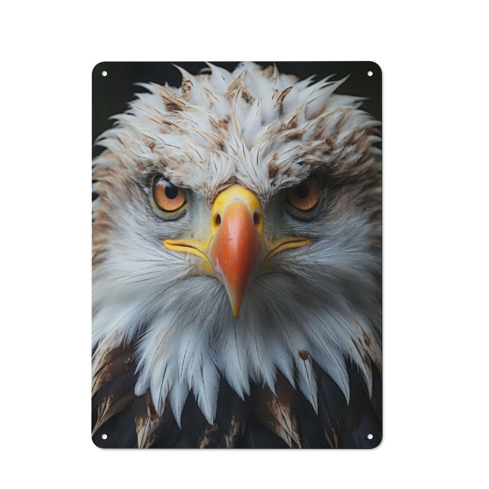 Cool Eagle Portrait Metal Gift Sign 40x30cm, Vintage Home Wall Decor for Home, Shop, Pub Or Studio Wall