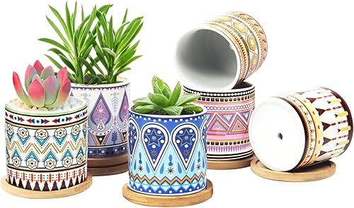 Miniatura 7 de Feoxialy Succulent Plant Pots 6 Pack with Drainage 3.1 Inch Cylinder Flower Pots Small Ceramic Pots for Plants Indoor&amp;Outdoor Garden Flower Planter