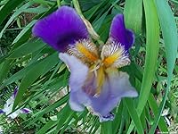 Review Image by Cole Y. Cole Y.