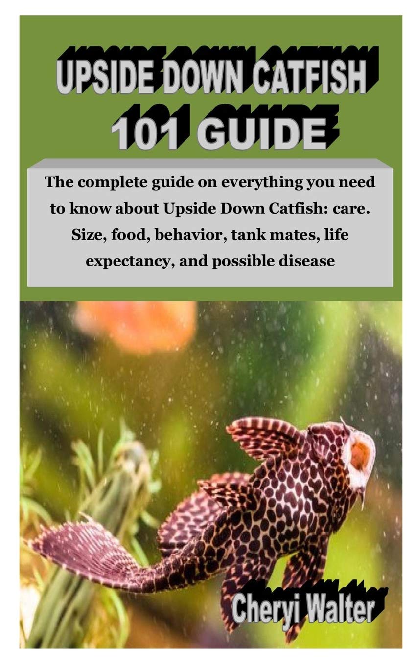 Buy Upside Down Catfish 101 Guide The complete guide on everything you