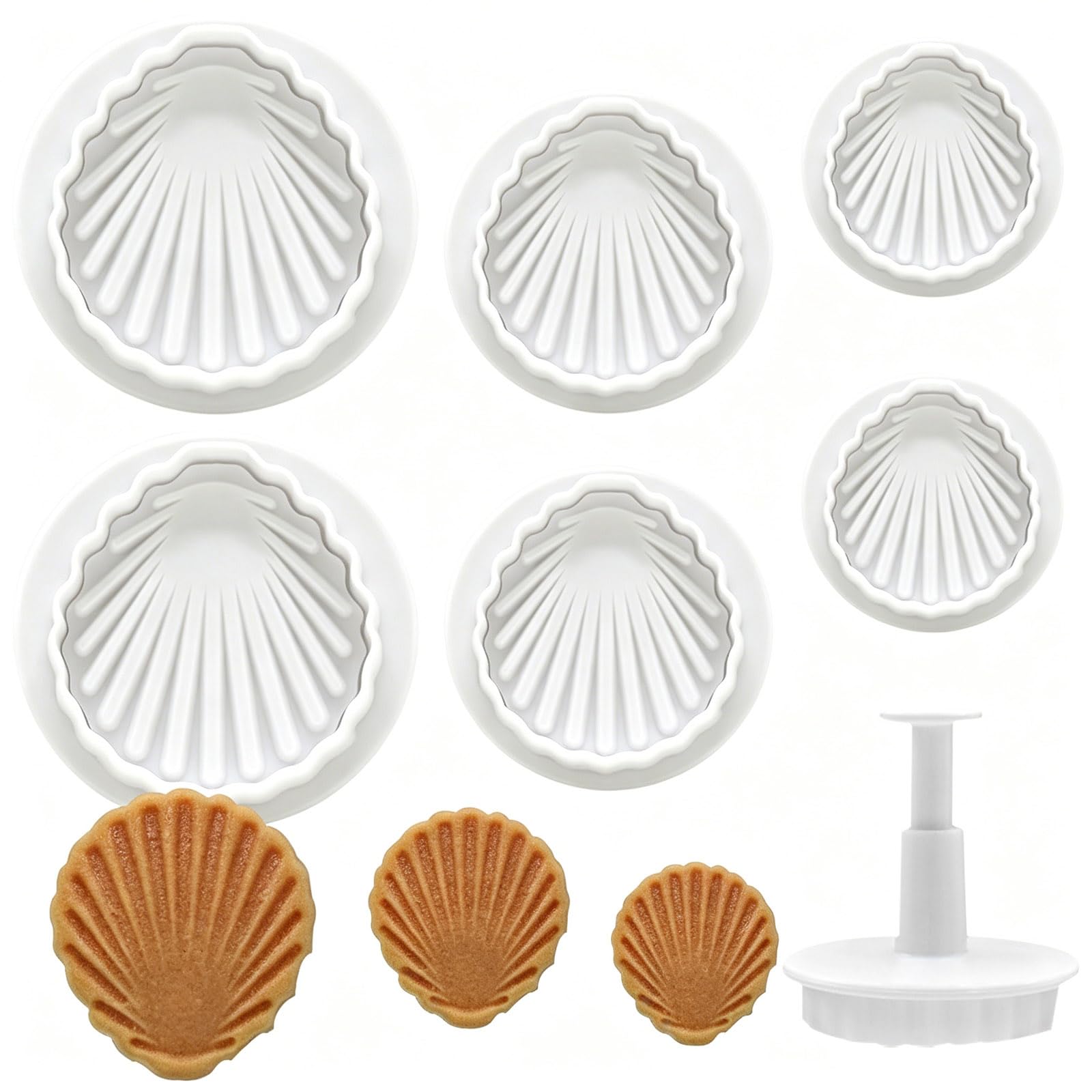 6 PCS Sea Shell Plunger Cutter Set Ocean Theme Fondant Mold & Cookie Cutters DIY Summer Embossing Tool for Biscuits, Sugar Cubes, Chocolate Cake, Cupcake Toppers, Marzipan, and Candy Decorating