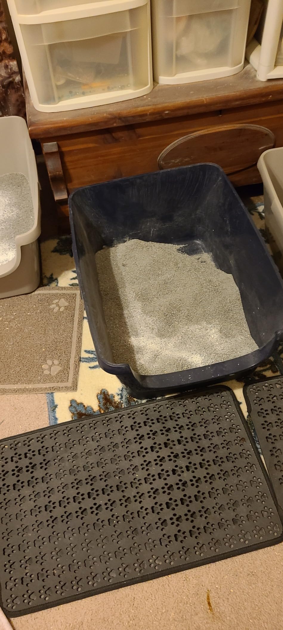 Fresh Step Clumping Cat Litter, Multi-Cat, Long Lasting Odor Control Kitty Litter with Activated Charcoal, Low Dust Formula, 14 lb photo review