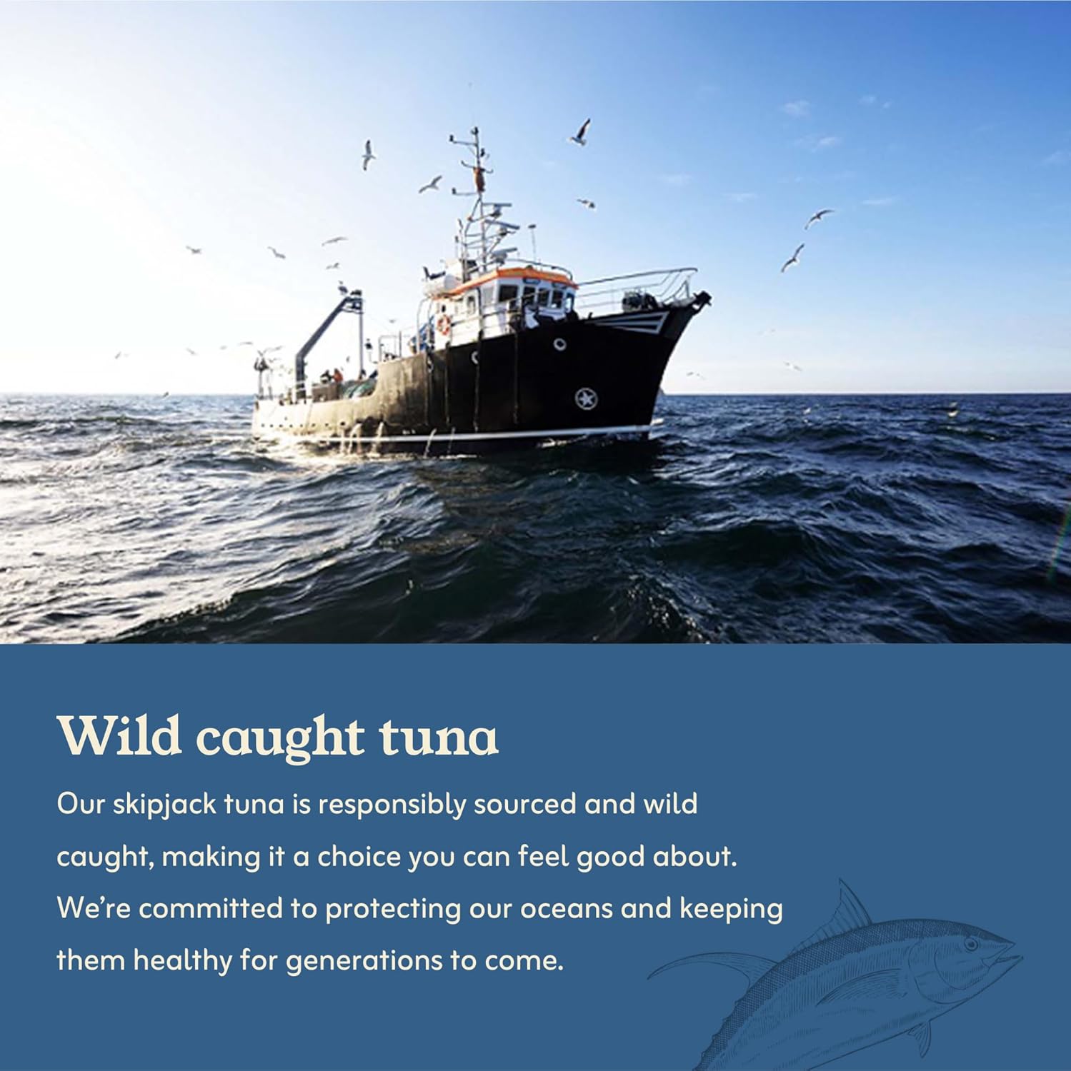 Van Camp's Seafood Solid Skipjack Tuna in Oil, 4-3 oz. Cans (Pack of 6), Wild Caught Canned Tuna