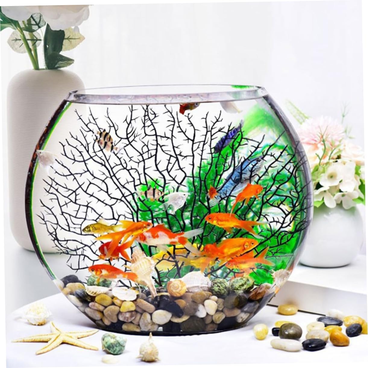 BESPORTBLE Transparent Glass Fish Bowl for Desktop with Hydroponic Plant Holder Small Delicate Fish Tank for Home Office Garden Decor Terrarium Vase for Succulents and Aquatic Plants