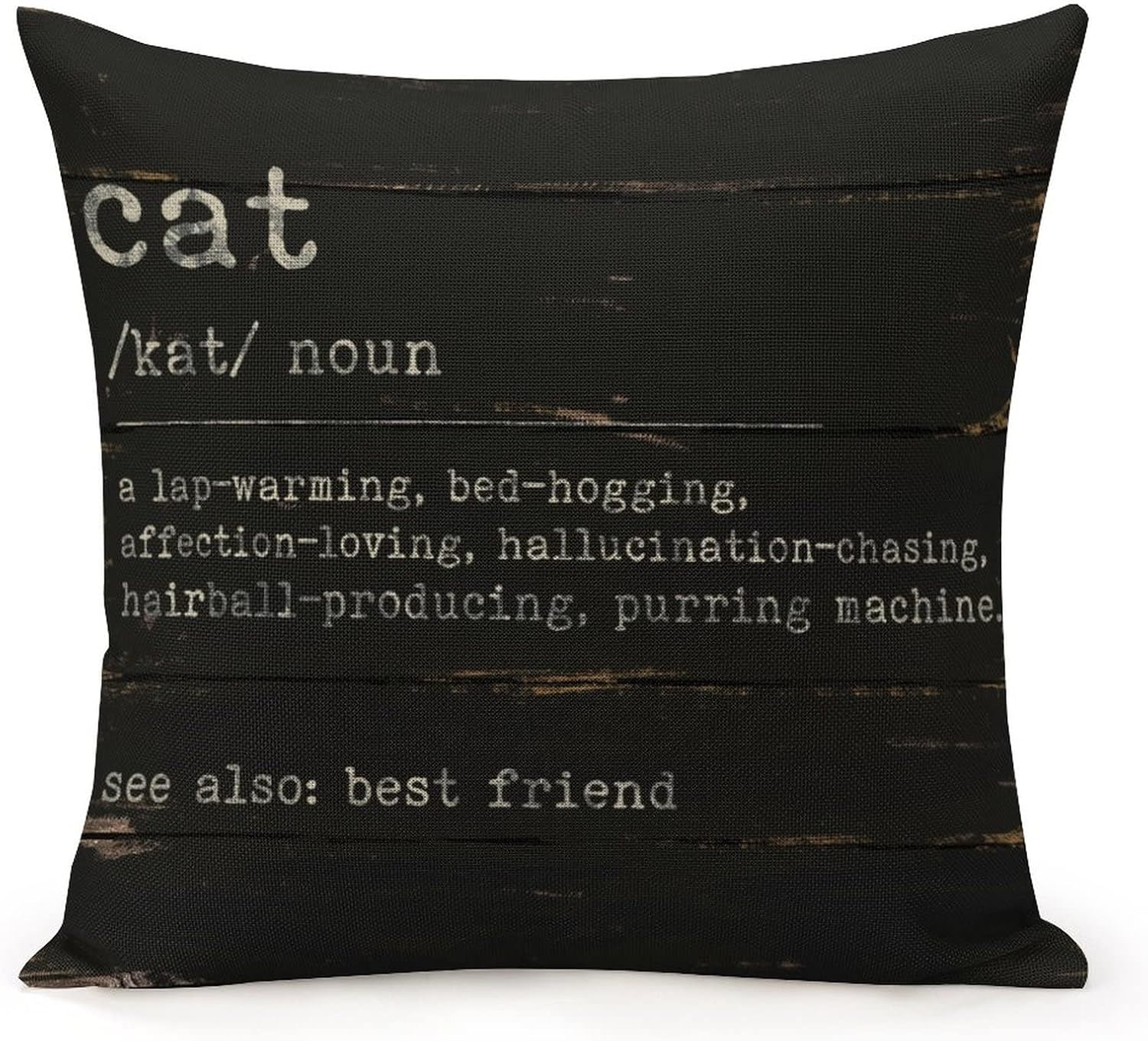 Cat Definition Dictionary Word Meaning Decorative Throw