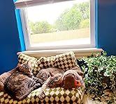 Review Image by P. Sherrill P. Sherrill
