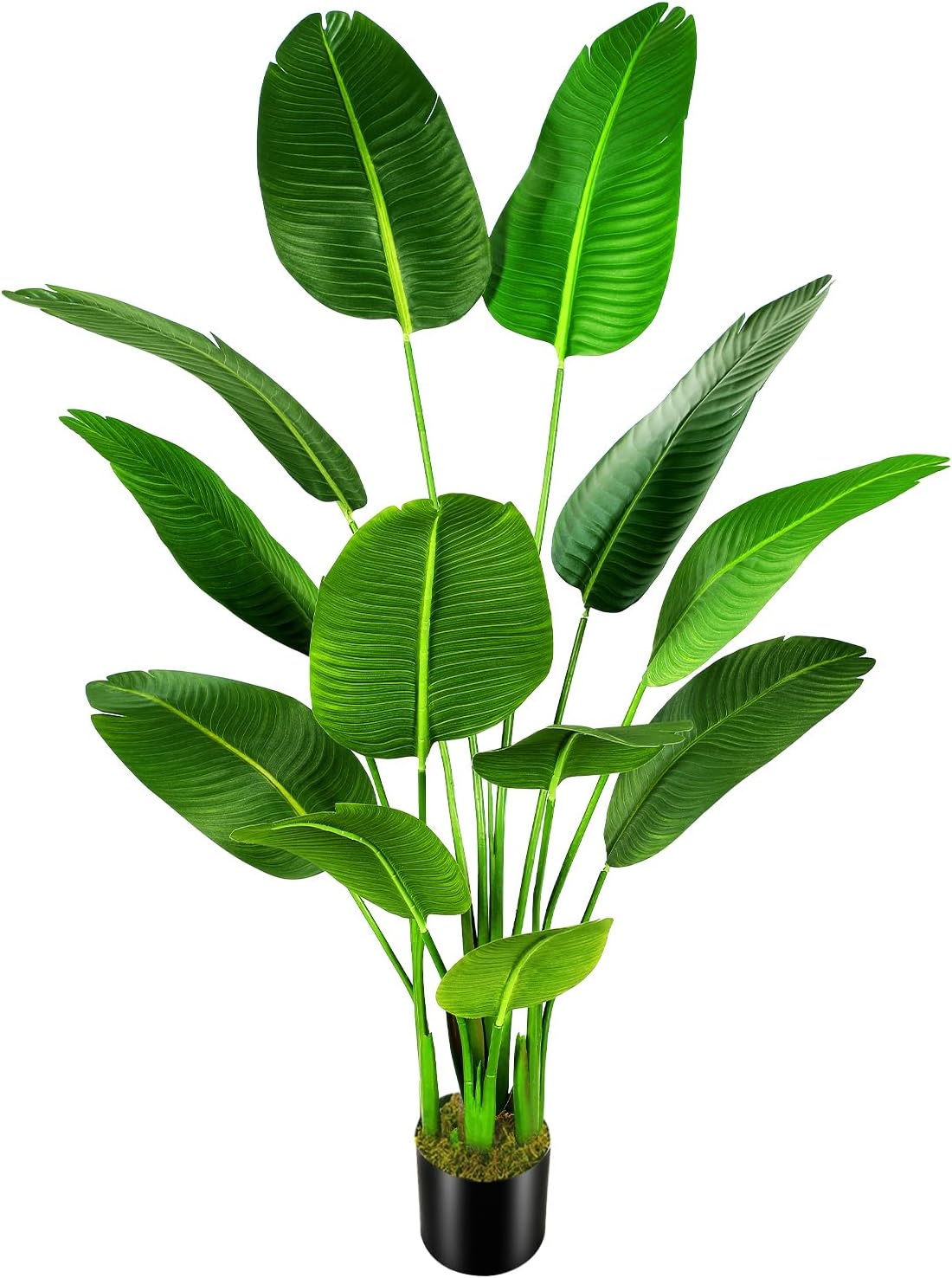 OXLLXO 5.5ft Artificial Silk Bird of Paradise Palm Tree (65in) with 12 Trunks Faux Tree and Plastic Nursery Pot, Fake Plant for Office House Farmhouse Living Room Home Decor (Indoor/Outdoor)