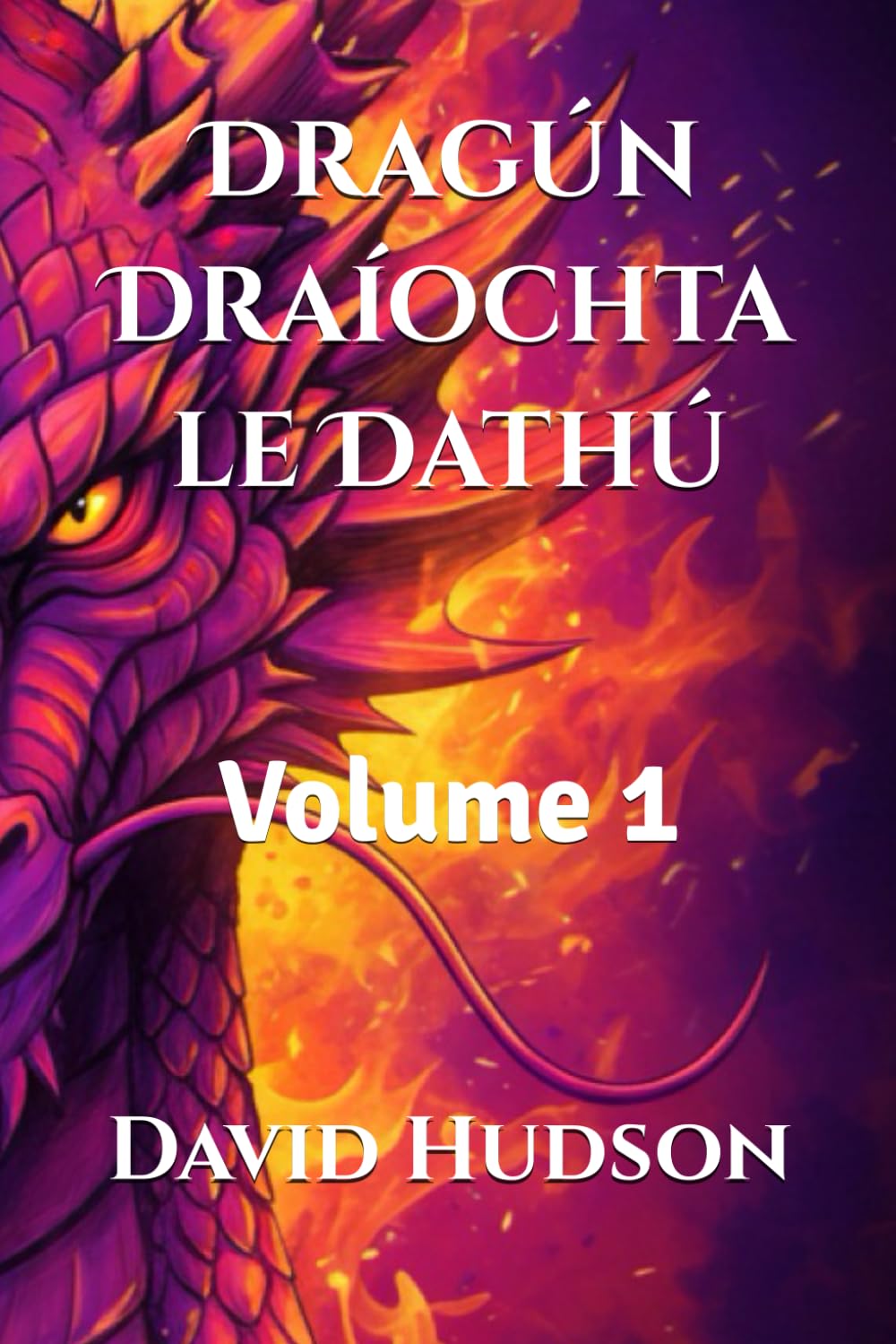 Dragún Draíochta le Dathú: Volume 1 (Draic Mhagicí le Dathú: 3 Imleabhar le Cinn Draic Mhionchruinnithe do Dhaoine Fásta agus do Leanaí)