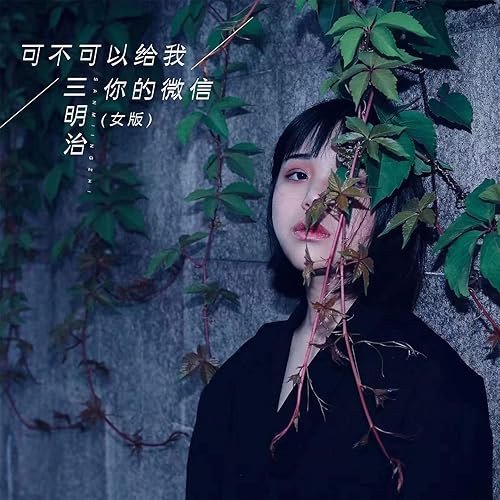 可不可以给我你的微信 (女版)