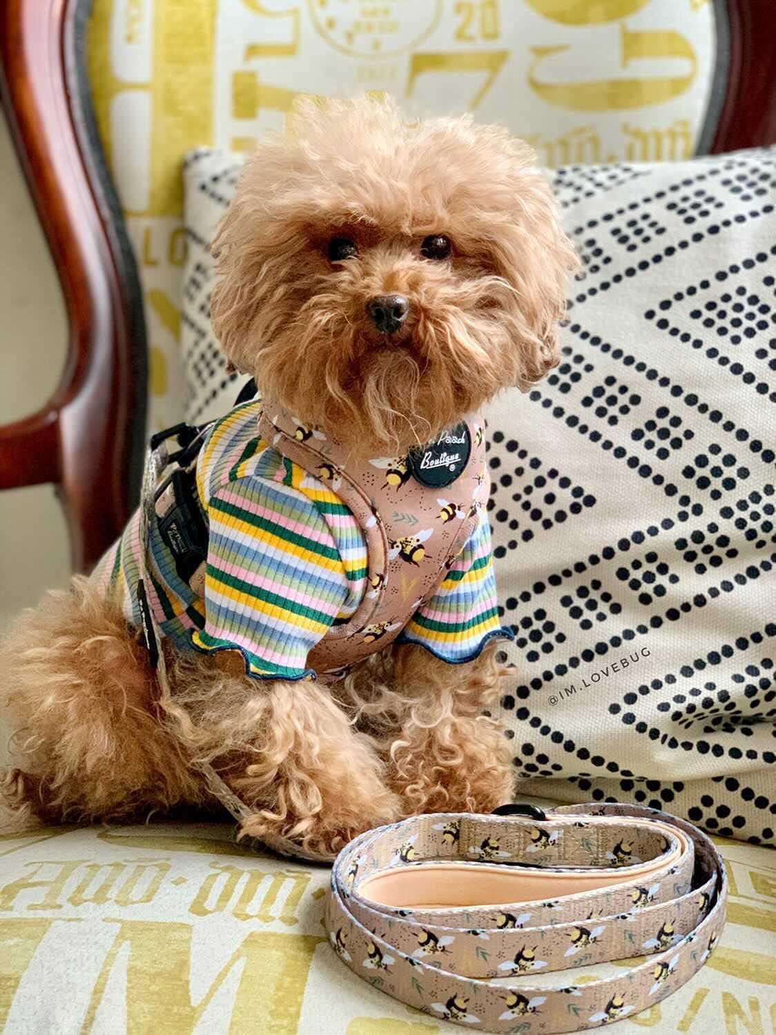 Pet Pooch Boutique Honey Bumble Bee Dog Harness XS