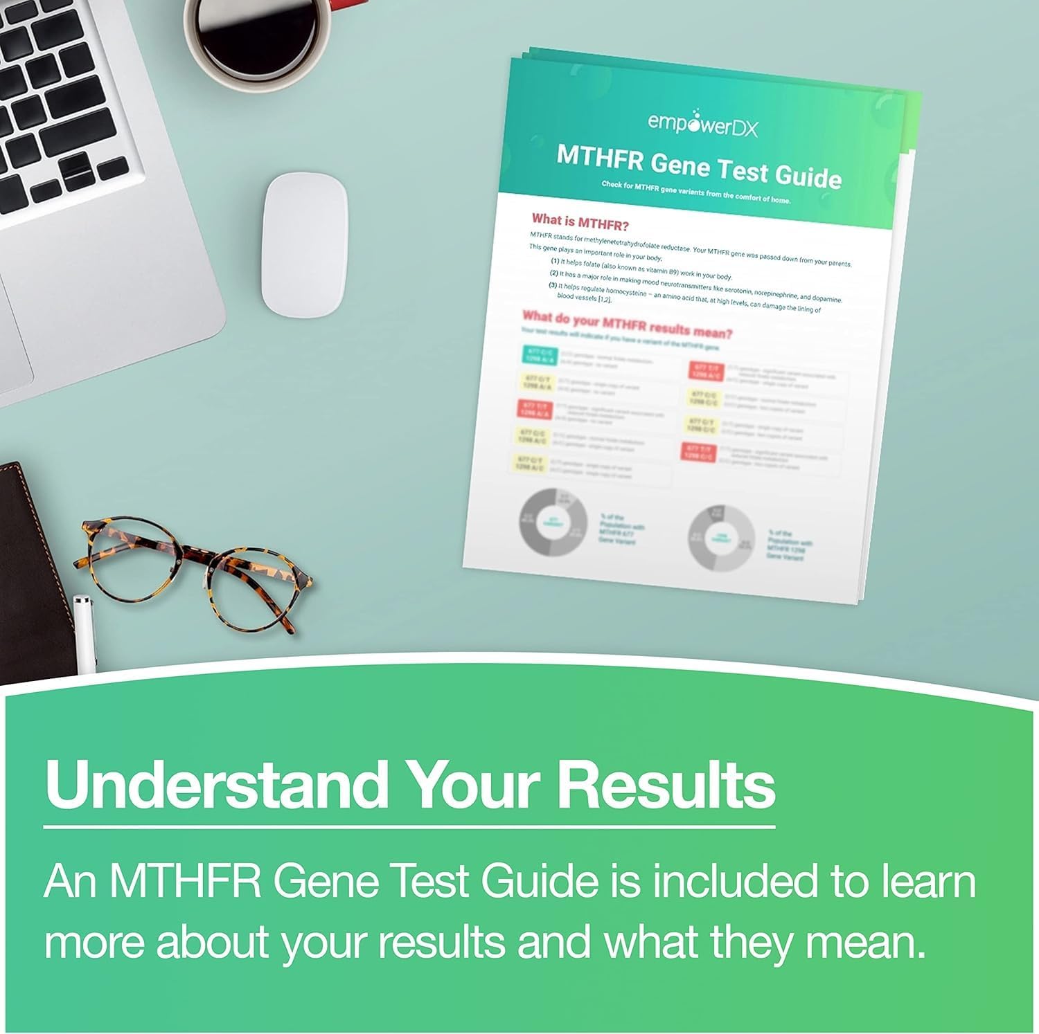 empowerDX MTHFR Gene Test Kit, Methylation Test, Easy at-Home Test Detects Presence of 677 and 1298 MTHFR Gene Variants, Ages 2+, Fast Results Within 6 Days - Image 6