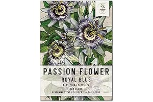 Seed Needs Passion Flower Seeds