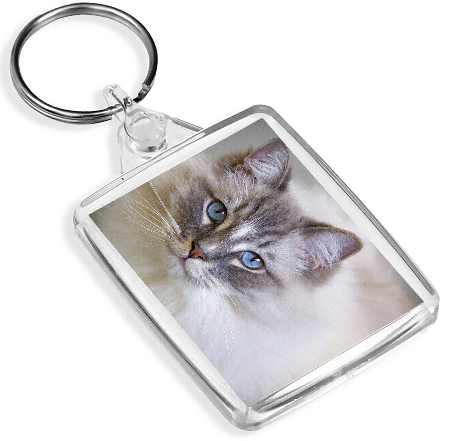 Destination Vinyl Keyrings Unisex Multi Gorgeous Rag Doll Cat Keyring - Ip02 - Feline Friendly Fun 16863