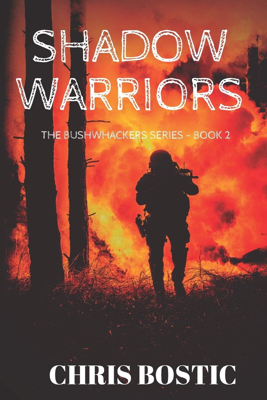 Shadow Warriors: 2 (The Bushwhackers Series Book 2)
