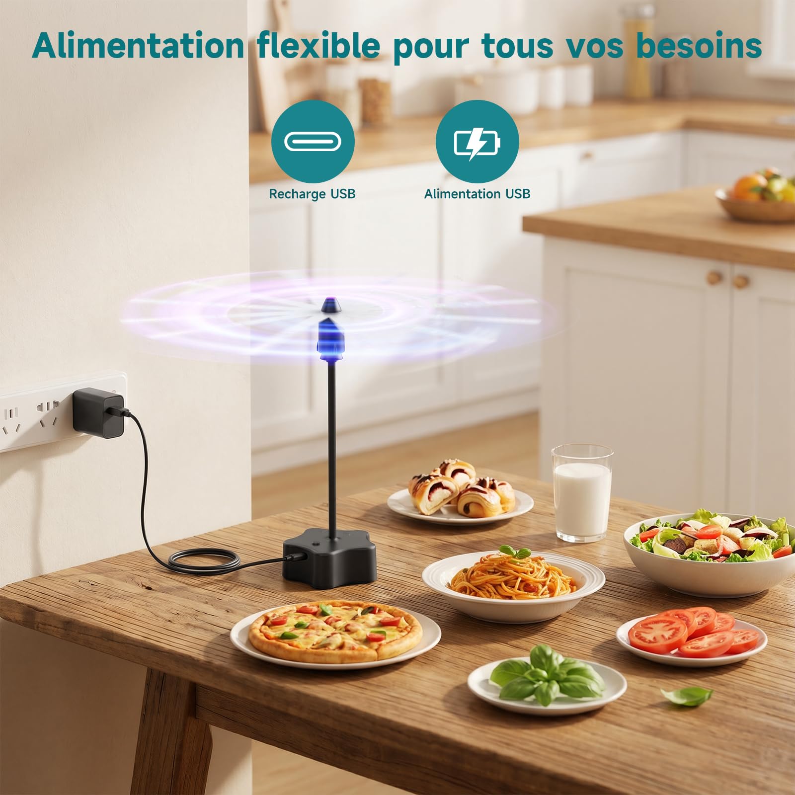 Ventilateur Anti-Mouches 4 Pièces, Rechargeable par USB, Ventilateur Portable pour Terrasse, Jardin, Restaurant, Pique-Nique – Protection Efficace Contre Les Insectes Volants