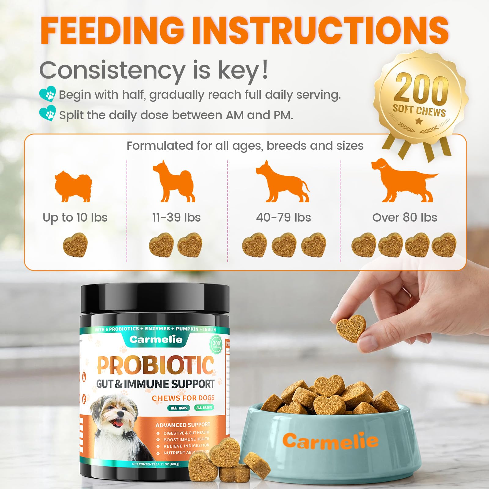 Carmelie Probiotiques pour chiens, 200 probiotiques digestifs et enzymes pour la santé intestinale avec citrouille, fibres pour chiens, anti-diarrhée, maux d'estomac, soulagement des gaz