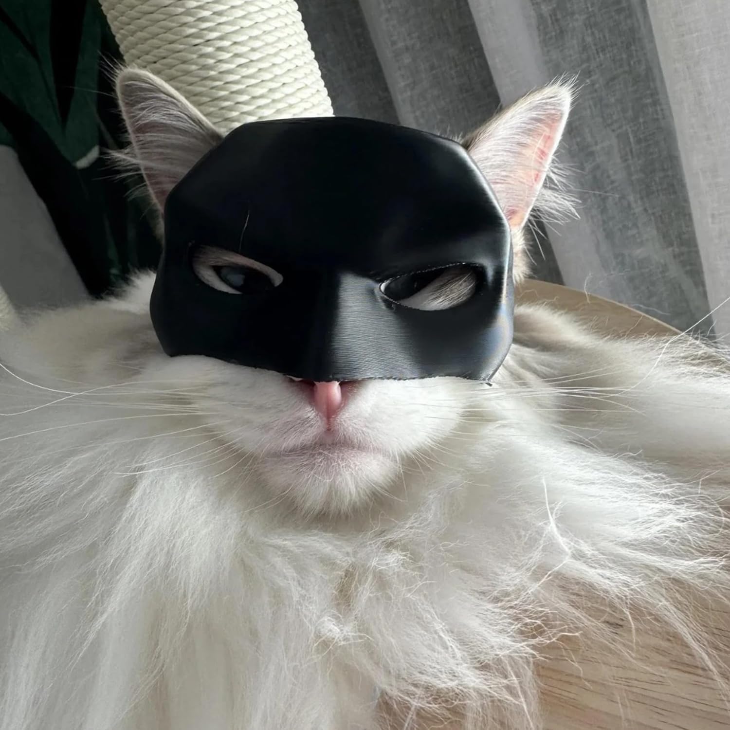 Cat Bat Mask Cosplay Hat - Funny Cat Halloween Costumes Funny Pet Decoration for Halloween Christmas Easter Festival Party bat mask for Cats, Cosplay Black CatBat Mask, Medium