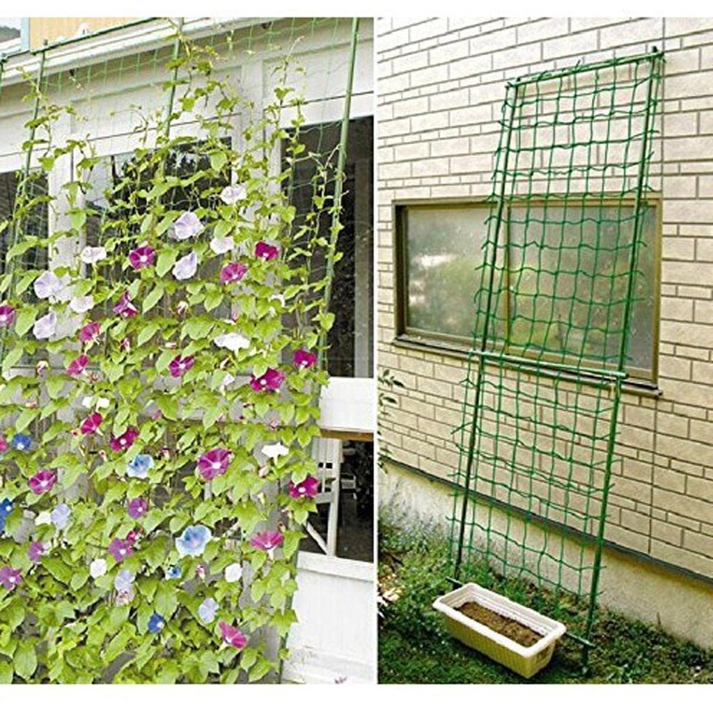 LOOM TREE® Nylon Trellis Netting Plant Support for Climbing Plants 180x90cm Yard, Garden & Outdoor Living | Garden Fencing | Trellises