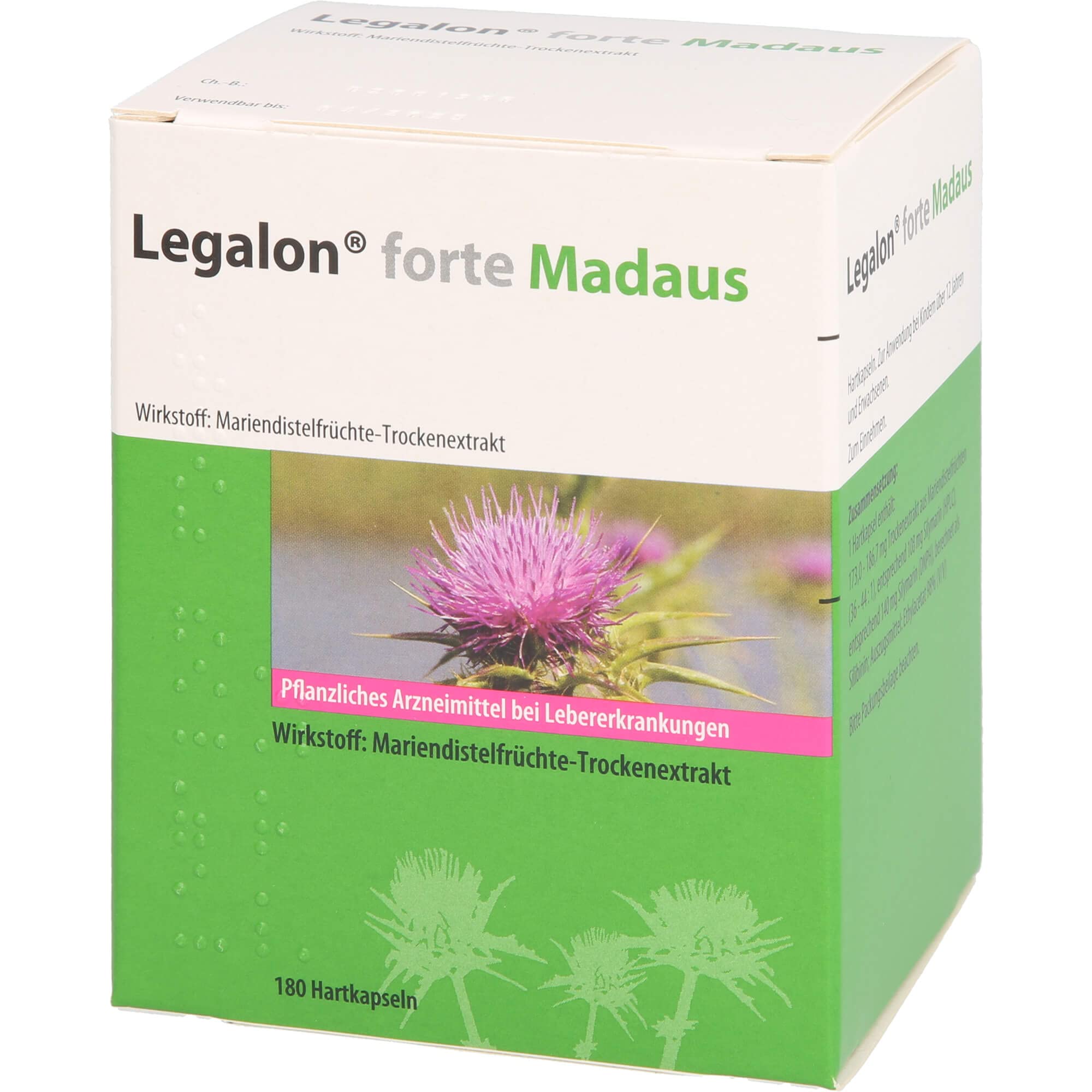 forte Madaus 180 Hartkapseln - Mariendiestel Kapseln, hilft die Leber zu entgiften, pflanzliches Arzneimittel, unterstützt die natürliche Leberfunktion - mit 140mg Silymarin