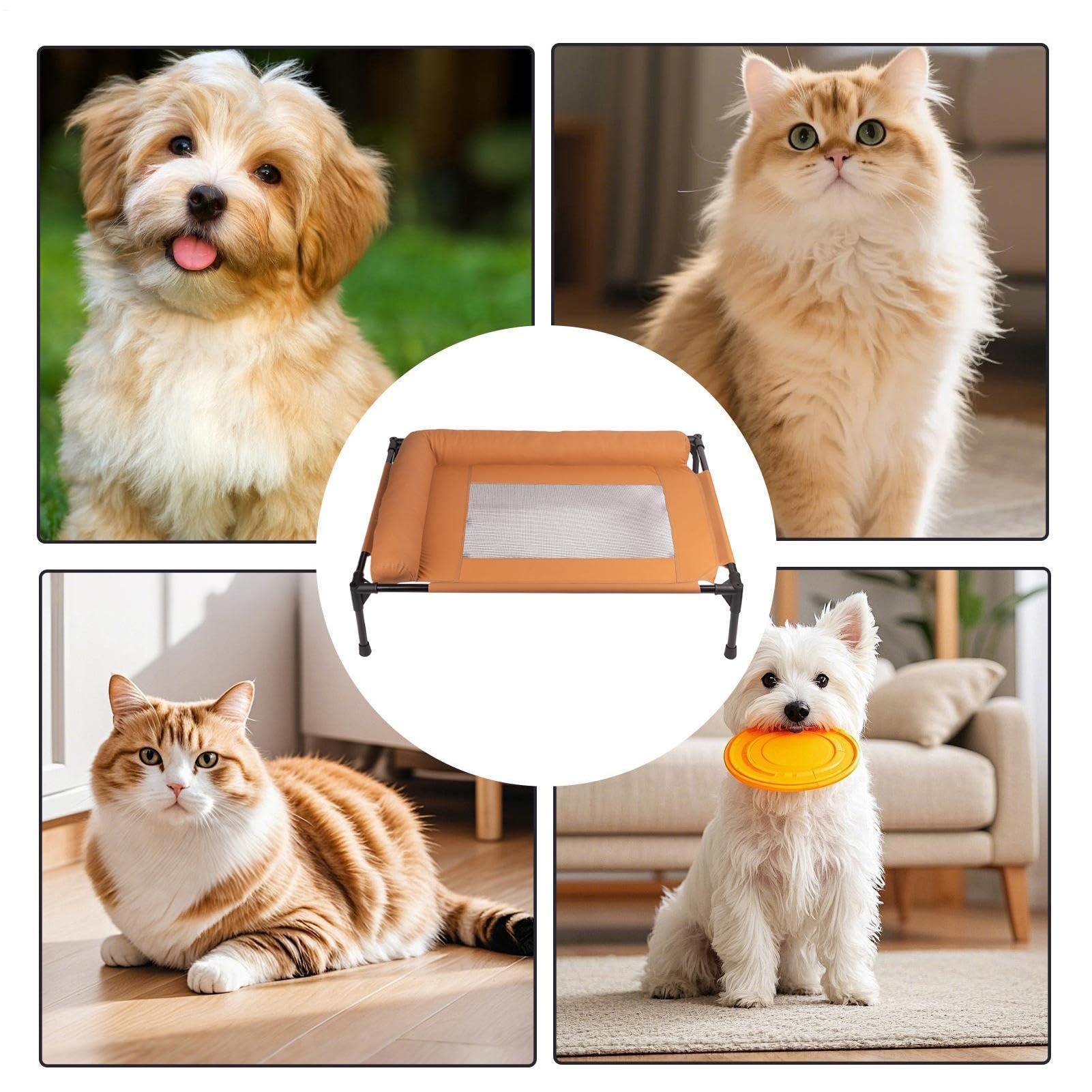 Générique Surélevé pour Animal De Compagnie – Canapé De Salon Respirant Et Confortable avec Base Antidérapante, pour Animal De Compagnie avec Traversins | Rafraîchissant pour Chiens, pour La Maison,