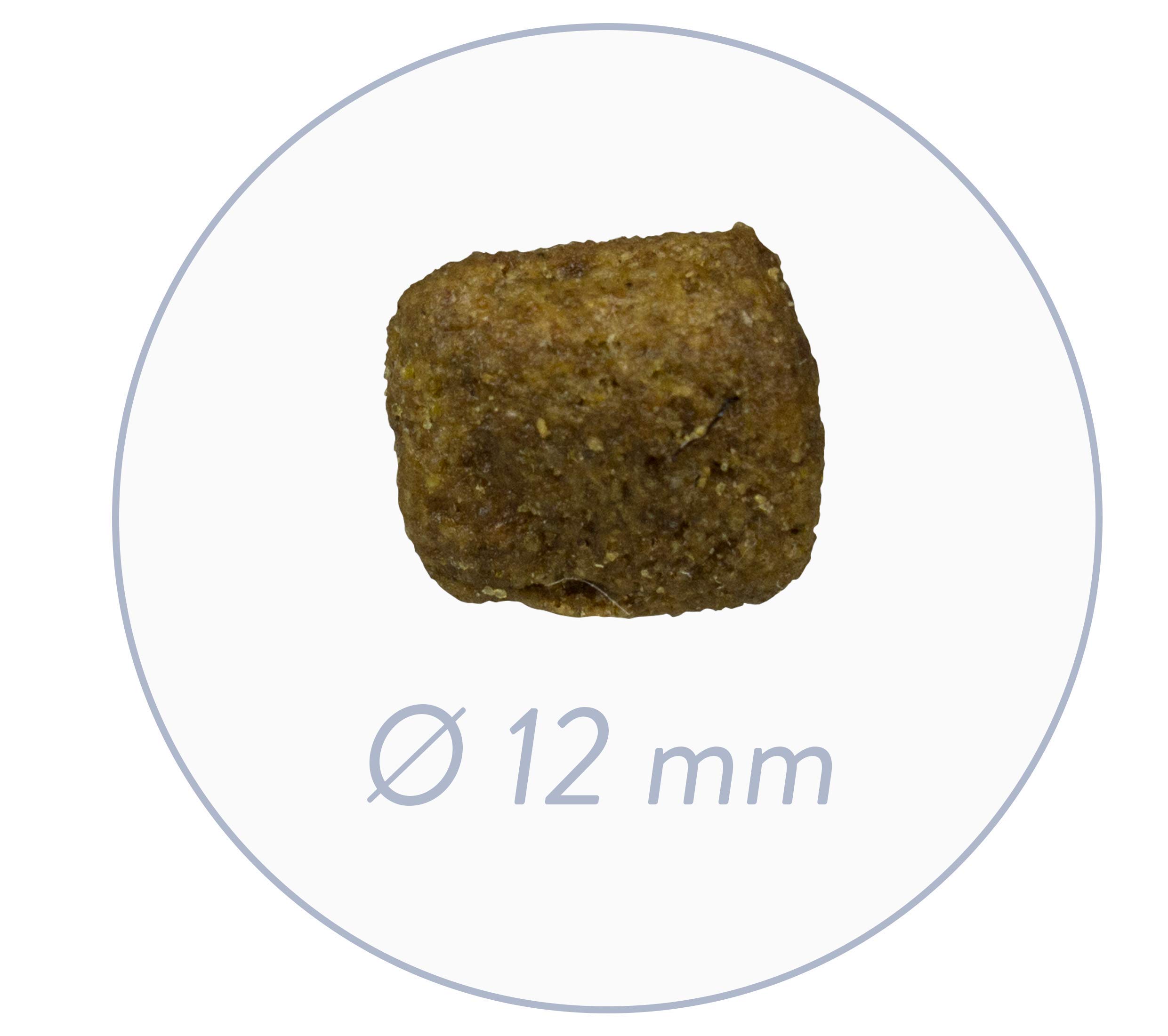 Bosch HPC Maxi Senior mit frischem Geflügel & Reis | Hundetrockenfutter für ältere Hunde großer Rassen (ab 25 kg) | 1 x 2.5 kg (Packung mit 2)