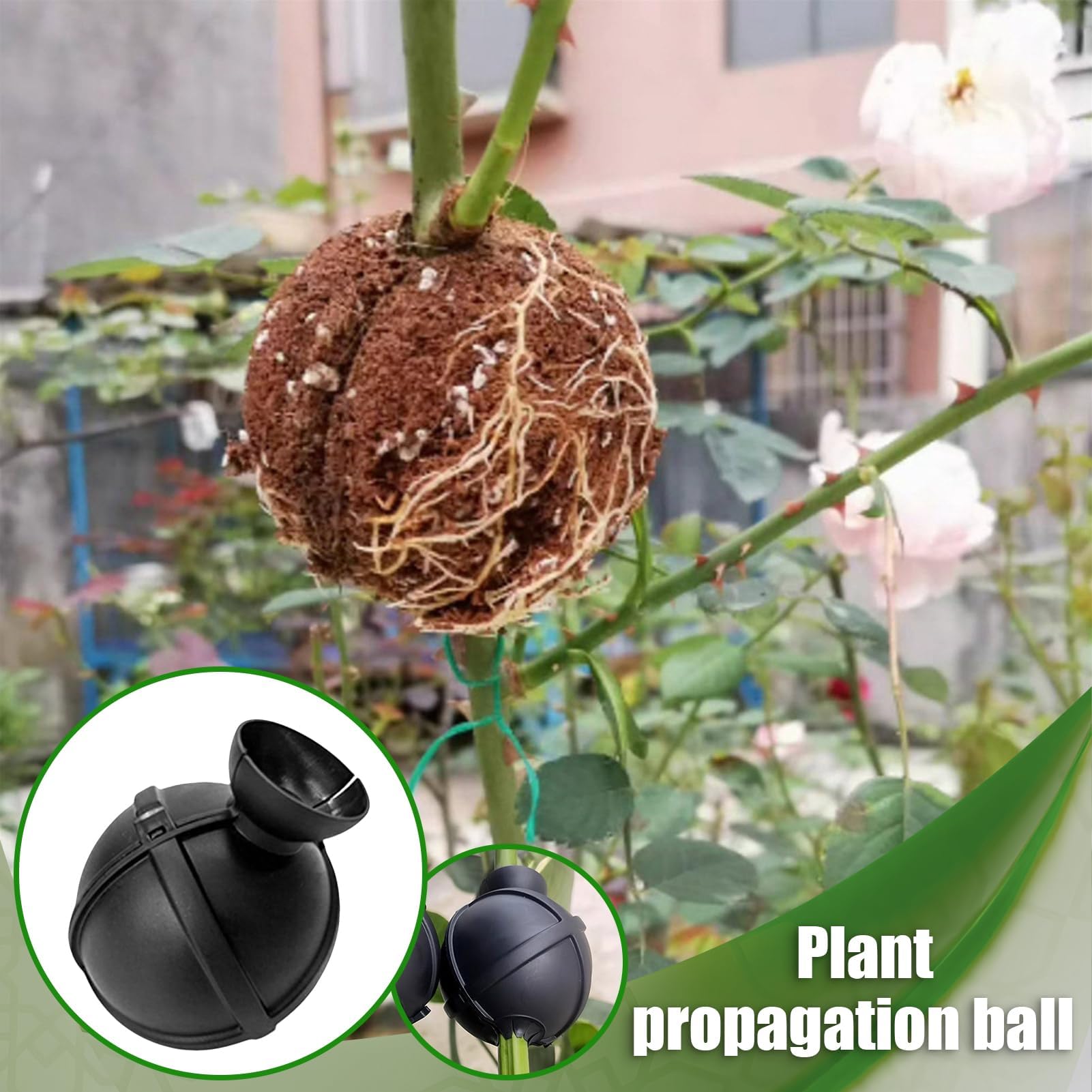 Bola de propagación de Plantas, Bola de enraizamiento, Caja de Cultivo, Esfera para el Crecimiento de raíces, 10 x 8 x 4 cm, ABS, Reutilizable, versátil para Frutas y jardín
