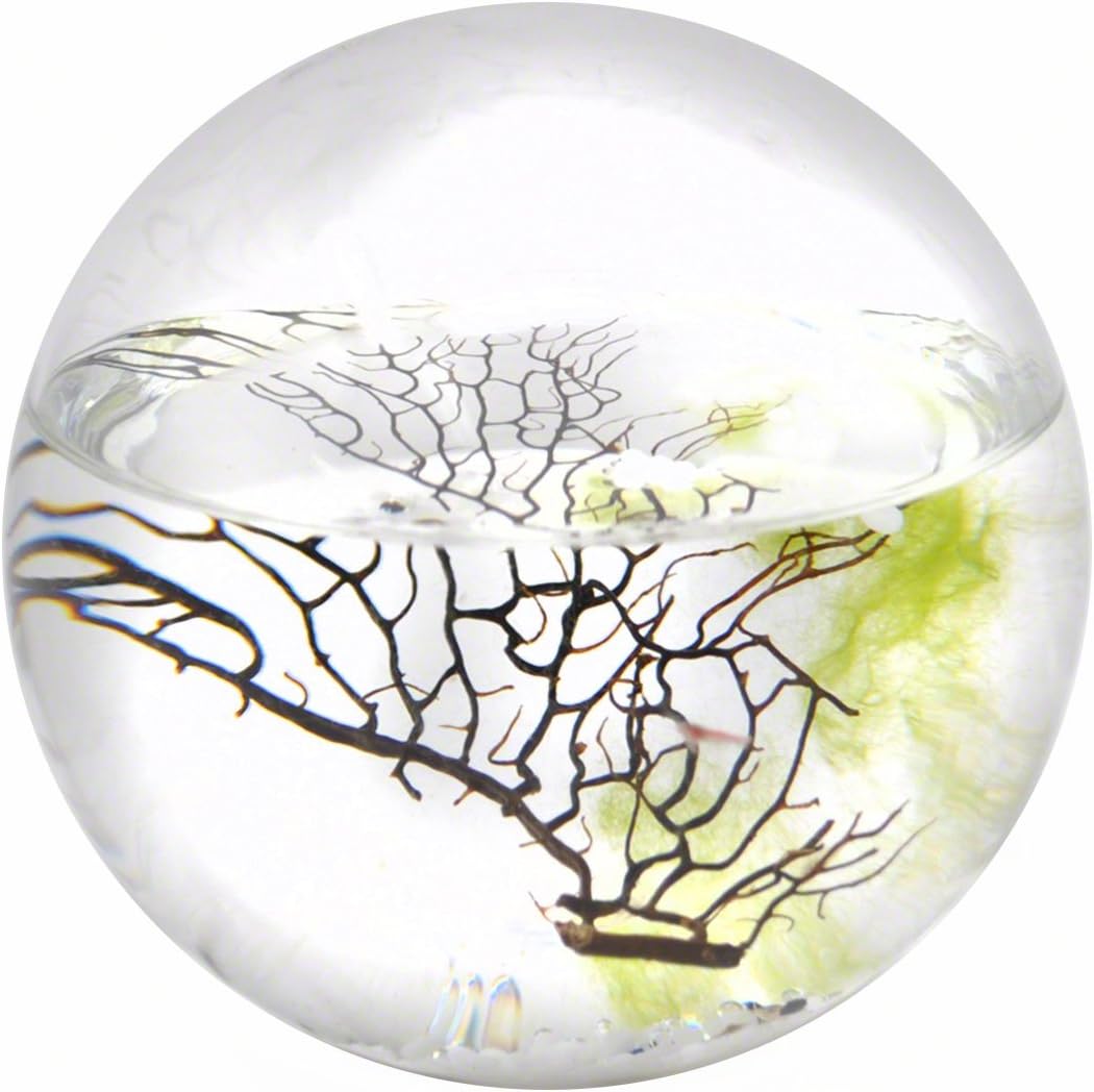 EcoSphere Closed Aquatic Ecosystem, Medium Sphere