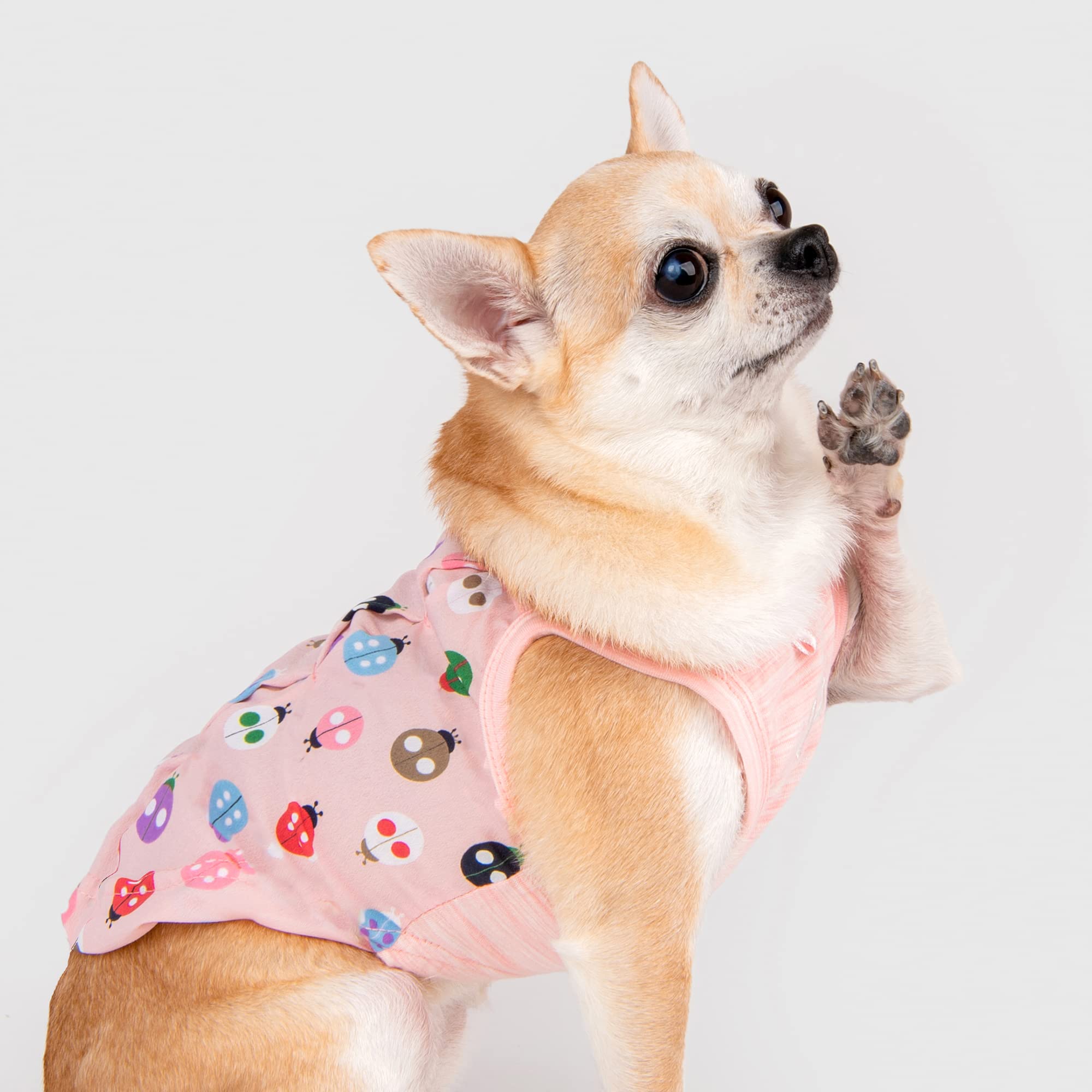 Lady Beetle Camiseta Tops para Perros L Rosa
