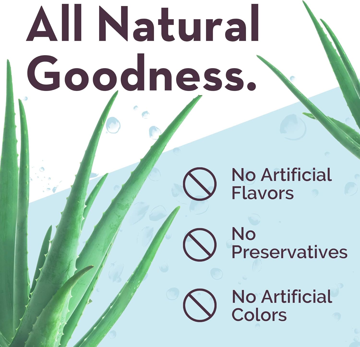 Detoxwater Organic Aloe Vera Prebiotic Water, Highest Quality Aloe with Electrolytes, Vitamins, & Antioxidants to Support Digestive, Immune & Skin Health, 30 Calories (Lychee & White Grape, 12 PK) : Grocery & Gourmet Food