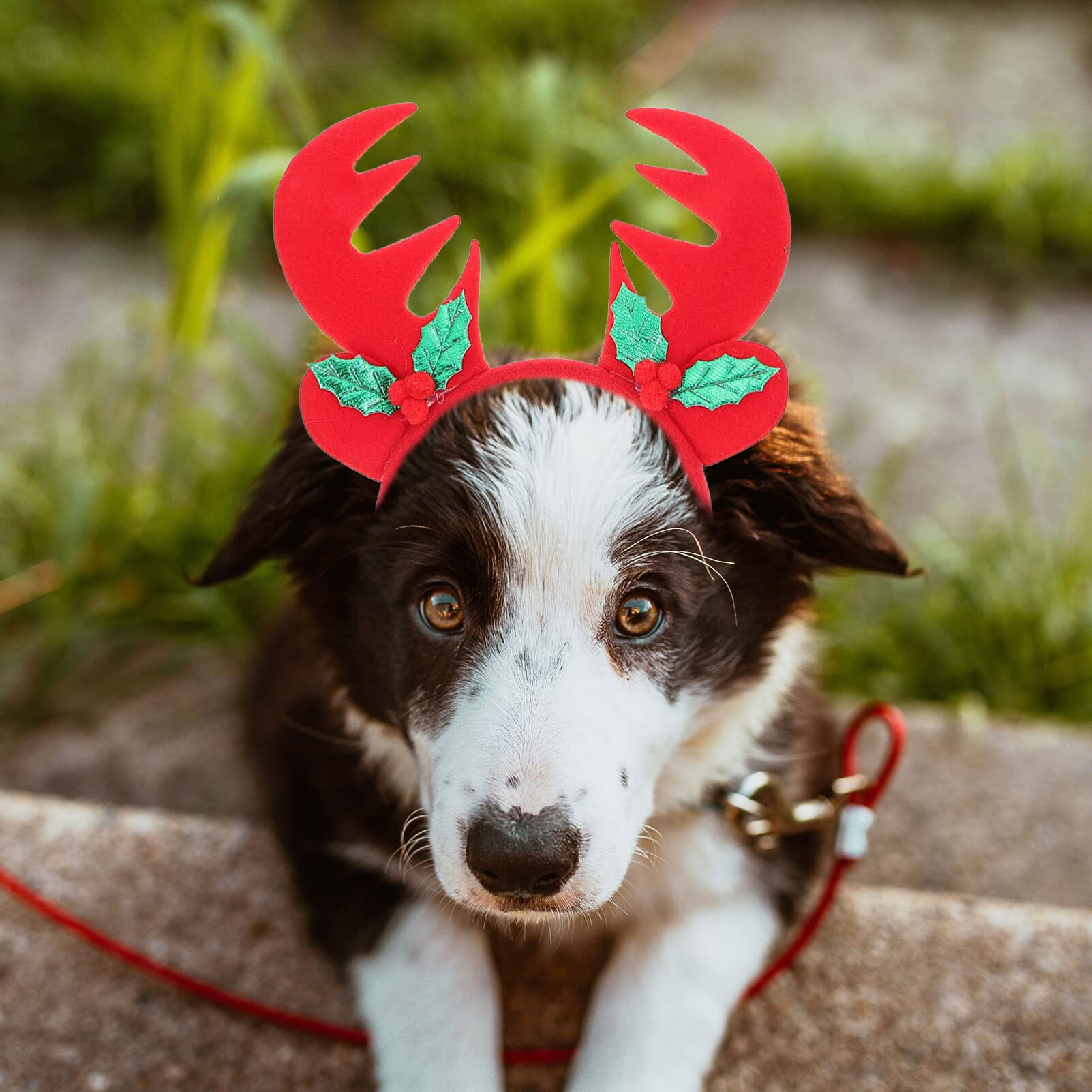 Hohopeti 3juegos Pañuelo Navideño para Perro con Diadema De Diseño Multiusos como Babero y Accesorio Festivo para Mascotas