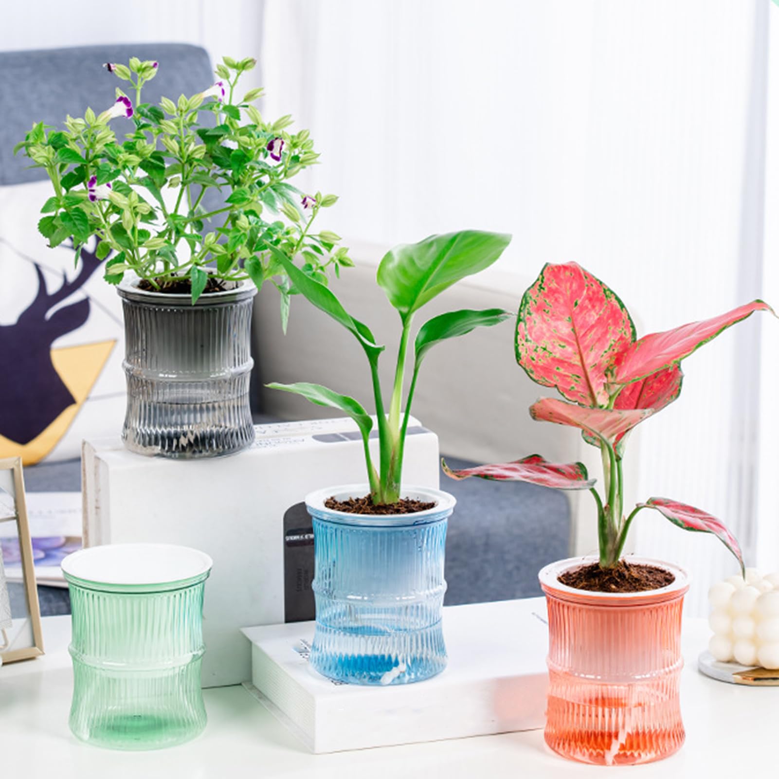 Pot à arrosage automatique pour sublimer vos plantes grasses