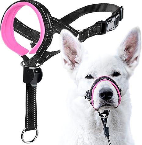 guide leash