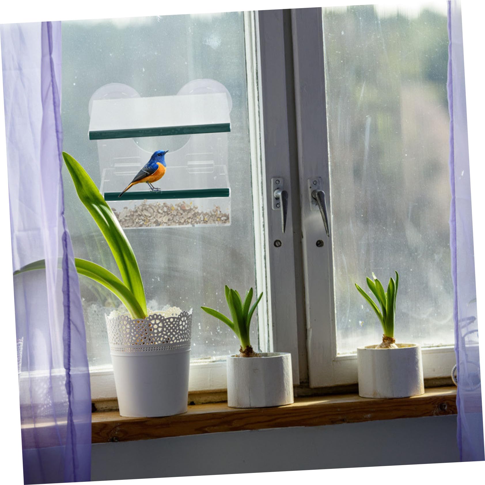 Comedero para Aves De Acrílico Alimentador De Pajaritos Transparente para Ventana y para y Decoración Exterior