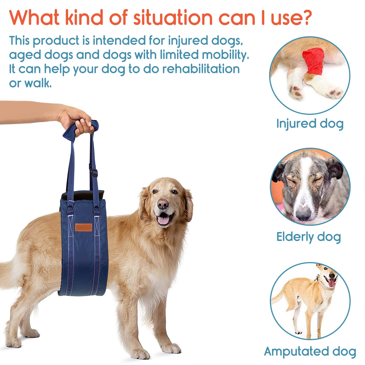 KosmoCare Dog Sling Support and Rehab Harness for Weak Rear Legs | Dog Hip Support Harness | Adjustable Straps Support for Elderly, Injured and Disabled Dogs - Medium