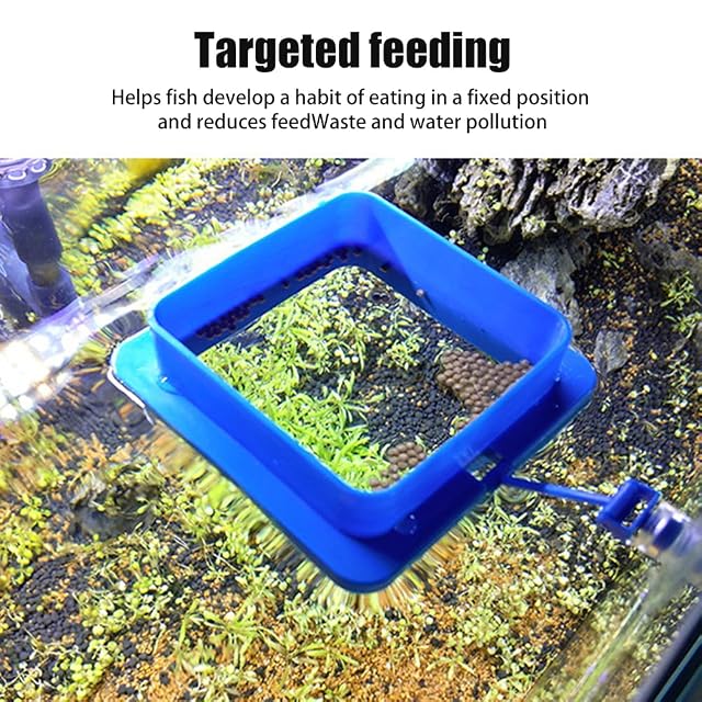 Foto 7 de 8 de 2 anillos de alimentación para peces, anillos flotantes de acuario