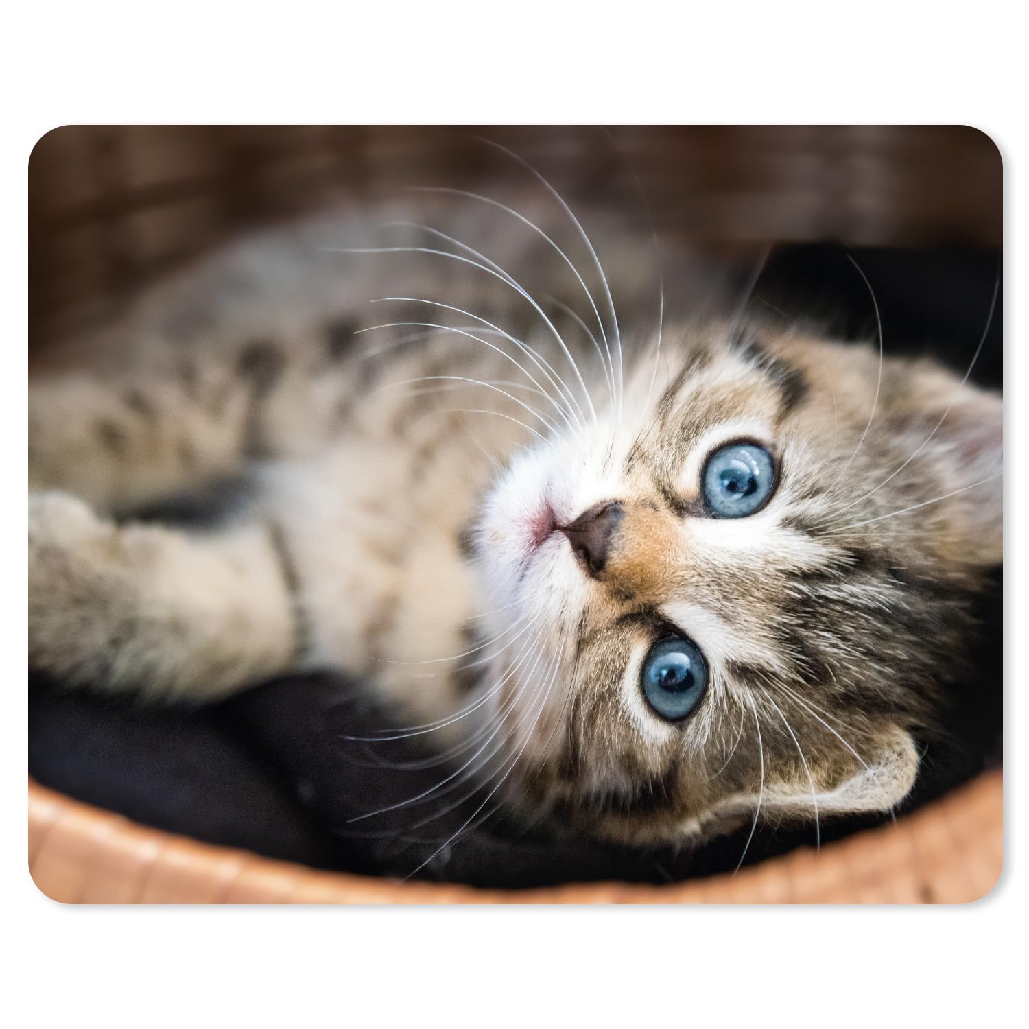 younikat Mauspad mit Katzen-Motiv I 24 x 19 cm I Katzenbaby I Mousepad in Standard-Größe I rutschfest I für Mädchen Teenager und Frauen I dv996